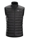 Arc'teryx Men's Cerium Lt Vest