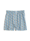 Southern Tide Men's Pitch A Tent Boxer