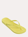 Ipanema Women's Ana Colors Flip Flop