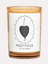 D.S. & Durga Holy Ficus Candle