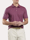 Peter Millar Men's Seaside Aqua Cotton Arcata Stripe Polo