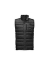 The North Face Men's Aconcagua Vest