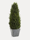 Zodax Cypress Tree Topiary Medium