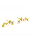 Tai Gold CZ 5 Star Studs