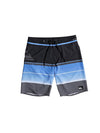 Quiksilver Boys' 8-16 Highline Slab 19 Inch Boardshorts