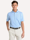 Saint Bernard Short Sleeve Knit Polo