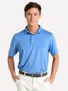 Saint Bernard Short Sleeve Knit Polo