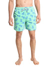 Tom & Teddy Pineapple Volley Swim Trunk