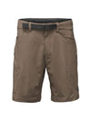 The North Face Men's Straight Paramount 3.0 Short