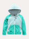 The North Face Toddler Glacier Full Zip Hoodie