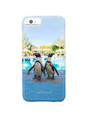 Gray Malin Pool Boys iPhone 6/6s Case