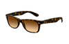 Ray-Ban New Wayfarer Gradient Sunglasses