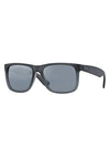 Ray-Ban Justin Sunglasses
