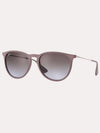 Ray-Ban Erika Classic Sunglasses