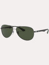 Ray-Ban RB8313 Polarized Sunglasses