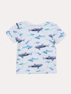 Hatley Little Boys' Watercolour Sharks Graphic Tee