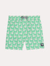 Tom & Teddy Boys' Spring Green Seagulls Swim Trunks