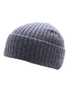 Coal Men's The Emerson Beanie